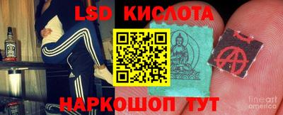 ПСИЛОЦИБИНОВЫЕ ГРИБЫ Новозыбков