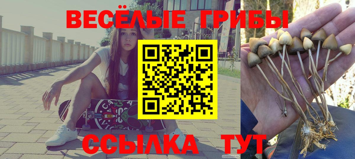 Псилоцибиновые грибы прущие грибы  Вход с VPN  Серов  Галлюциногенные грибы мицелий 